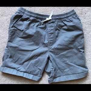 Men’s Gray Chubbies Shorts - Medium 7”